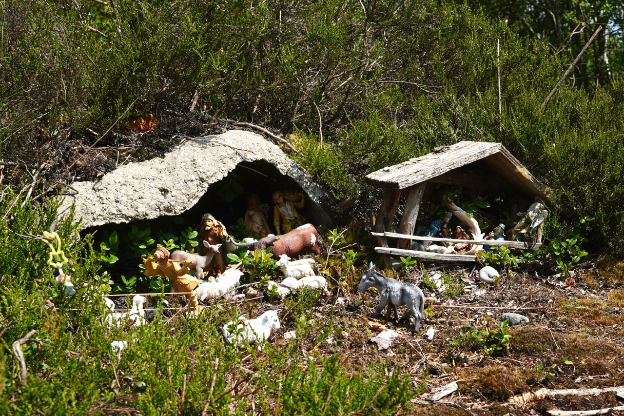 12. BergSpektiven Exkursion am 09.06.2025: Die 5 Sinne
