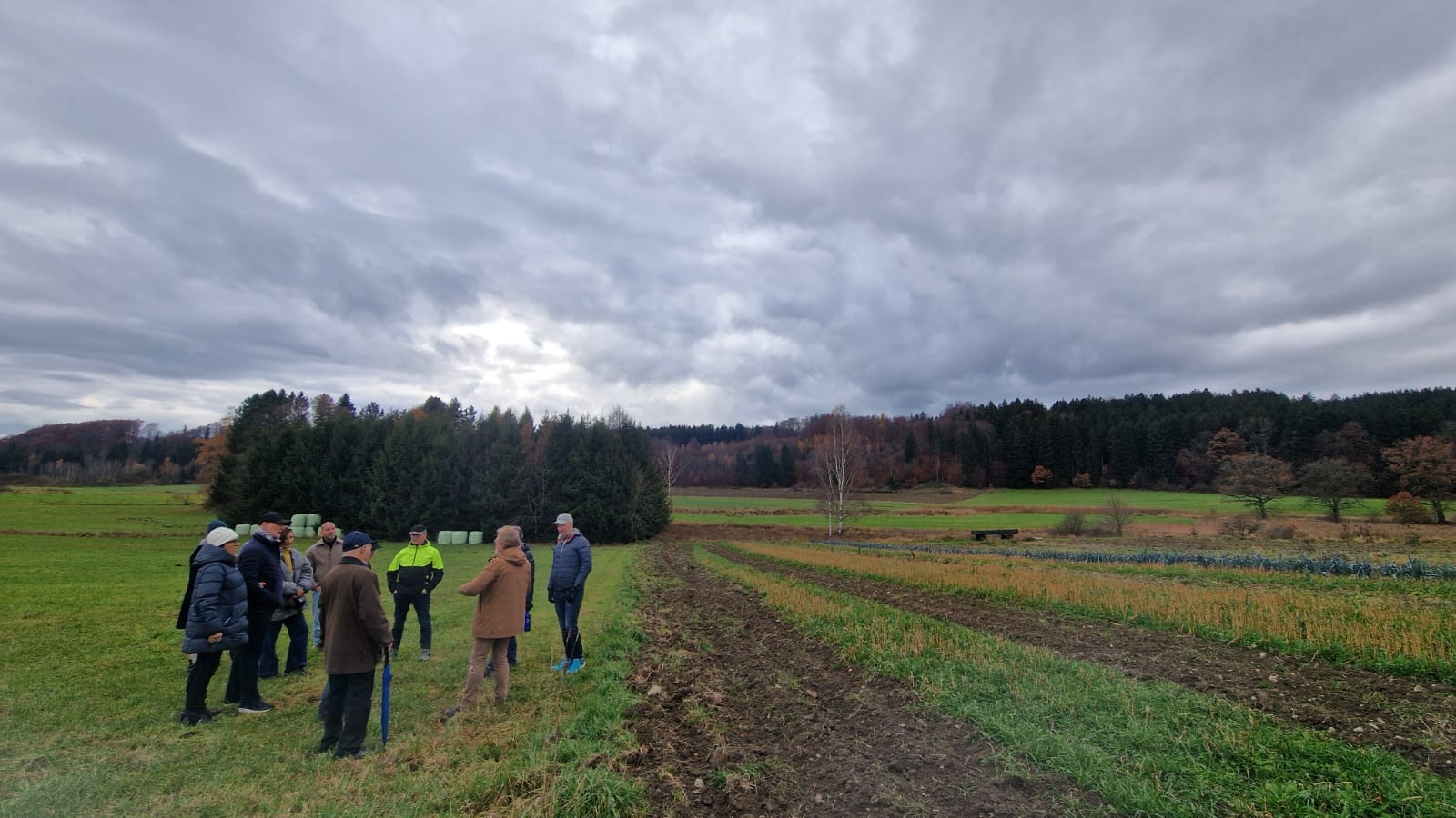 13. BergSpektiven Exkursion am 09.11.2025: Nebel zieht auf