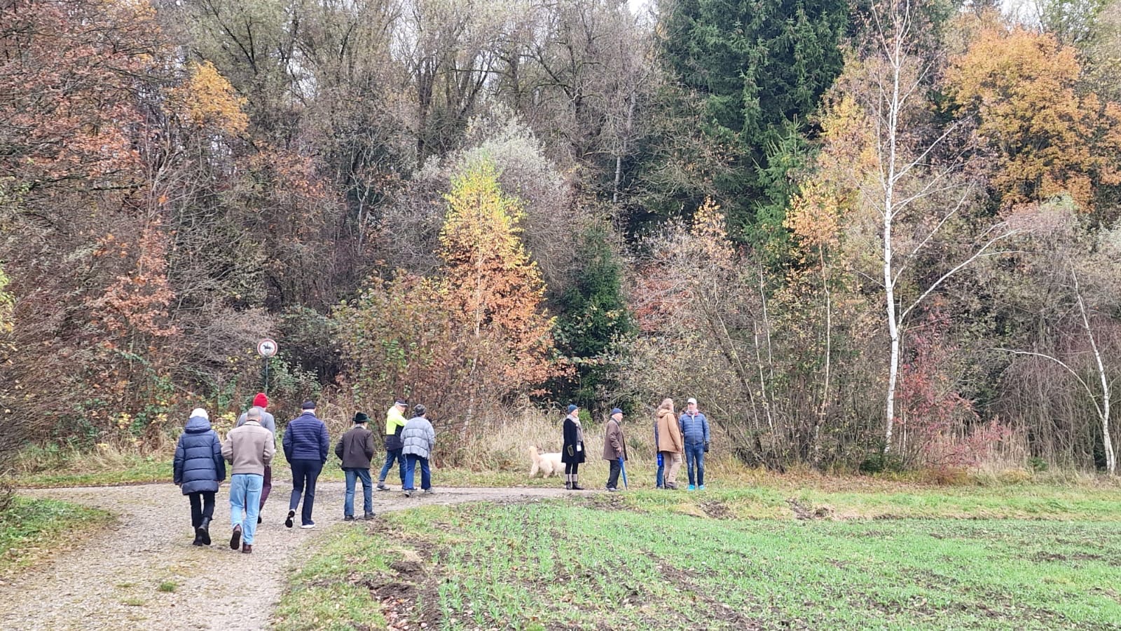 13. BergSpektiven Exkursion am 09.11.2025: Nebel zieht auf