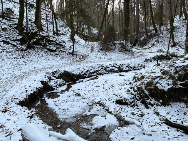 14. BergSpektiven Exkursion am 28.12.2025: Rauhnachttour
