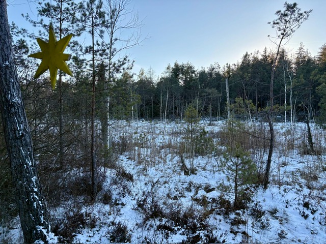 15. BergSpektiven Exkursion am 04.01.2026: Rauhnachttour