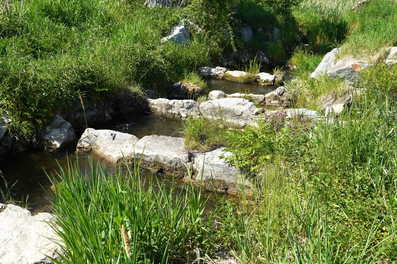 16. BergSpektiven Exkursion am 25.05.2026: Tour für alle Sinne