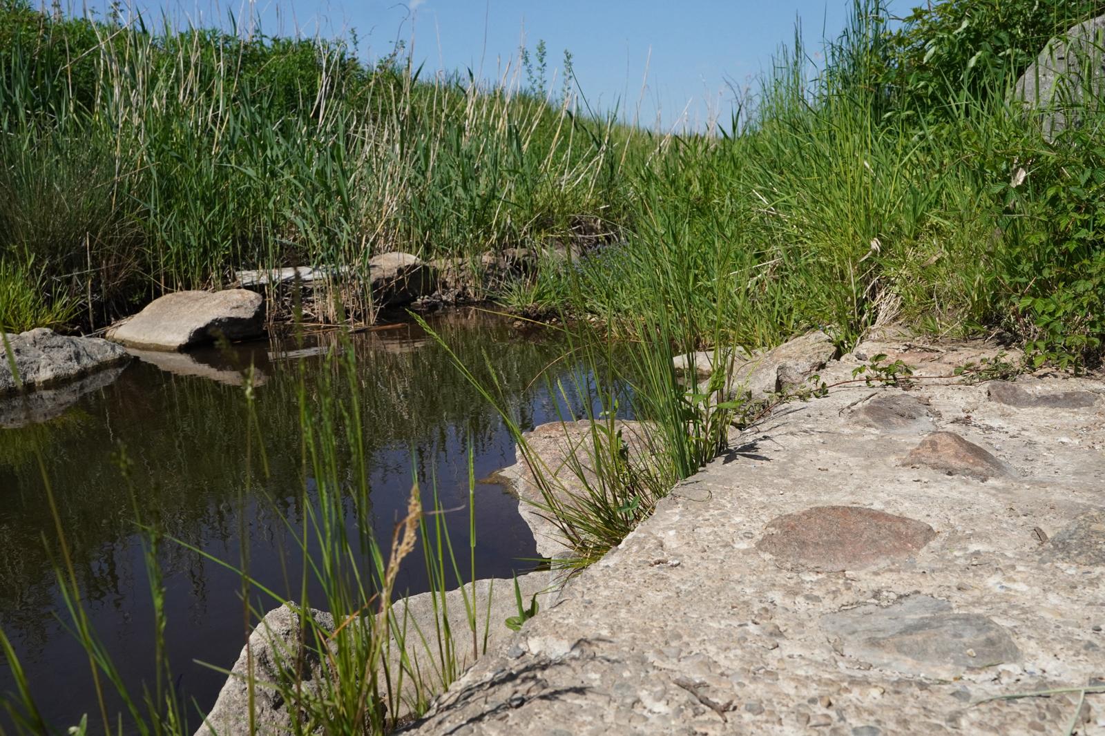 16. BergSpektiven Exkursion am 25.05.2026: Tour für alle Sinne